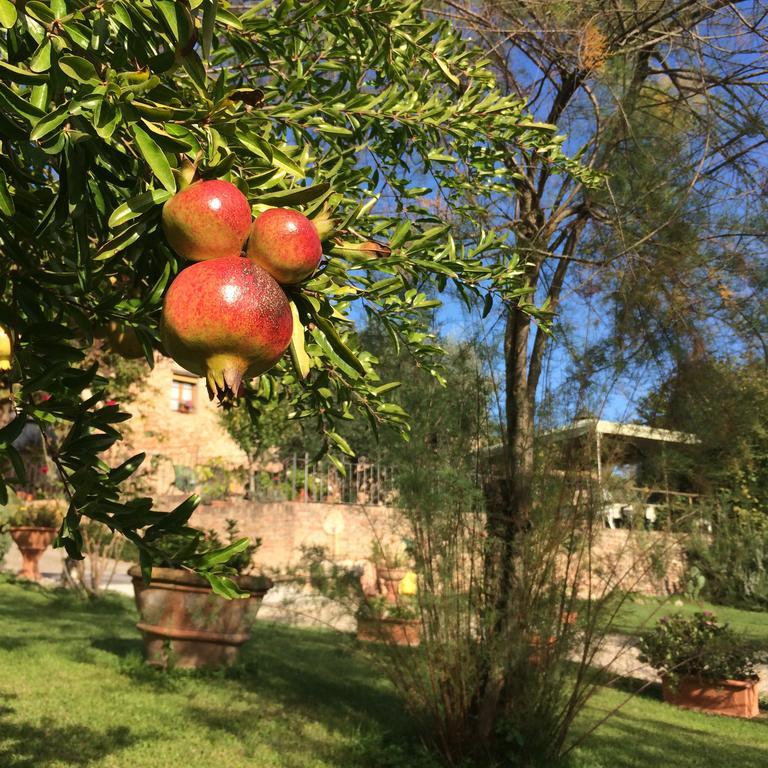Podere Il Pero Siena Eksteriør bilde